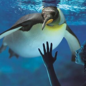 Sea Life London Aquarium Tickets