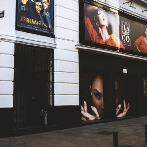 Flamenco Theatre Show